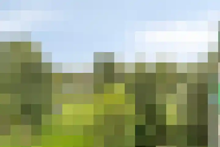 Acaciaplein 155 Schagen thumbnail 22