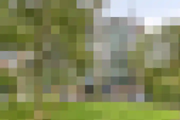 Acaciaplein 155 Schagen thumbnail 33