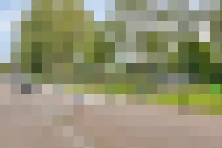 Acaciaplein 155 Schagen thumbnail 38