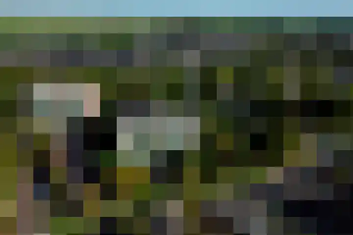Acaciaplein 155 Schagen thumbnail 4