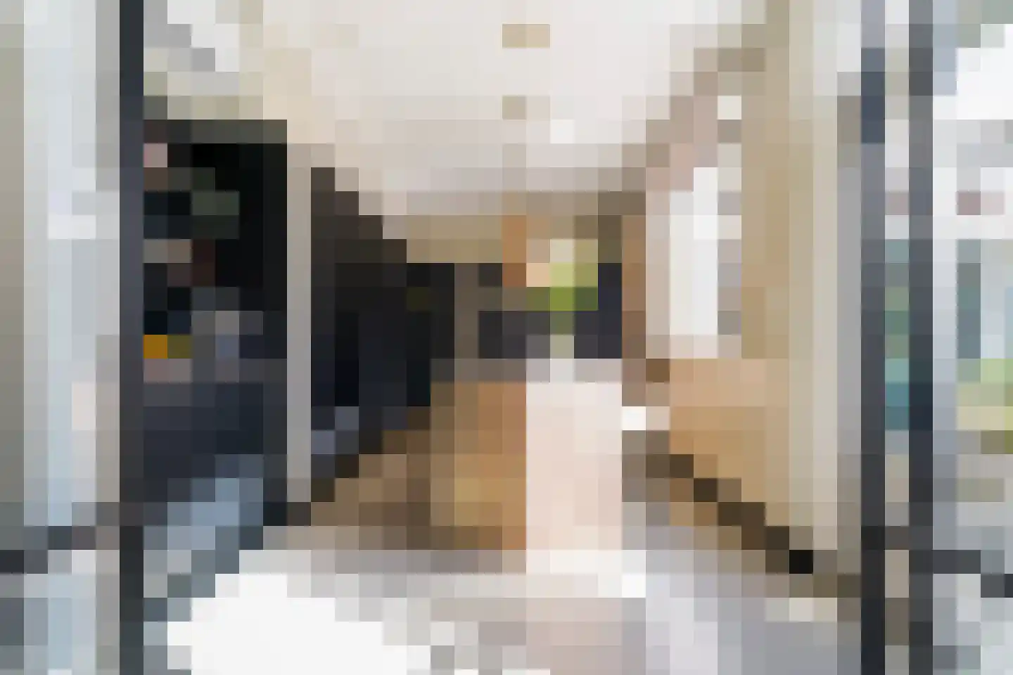 Acaciastraat 13 Tilburg thumbnail 33