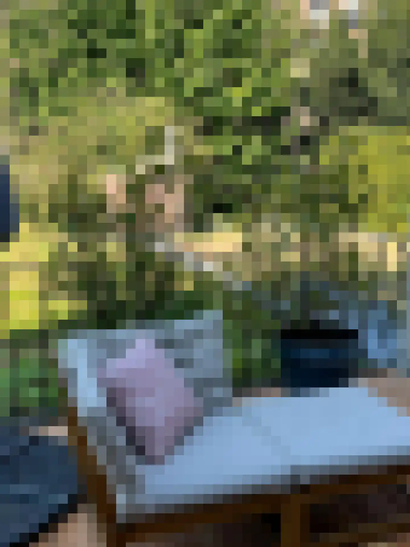 Acaciastraat 13 Tilburg thumbnail 54