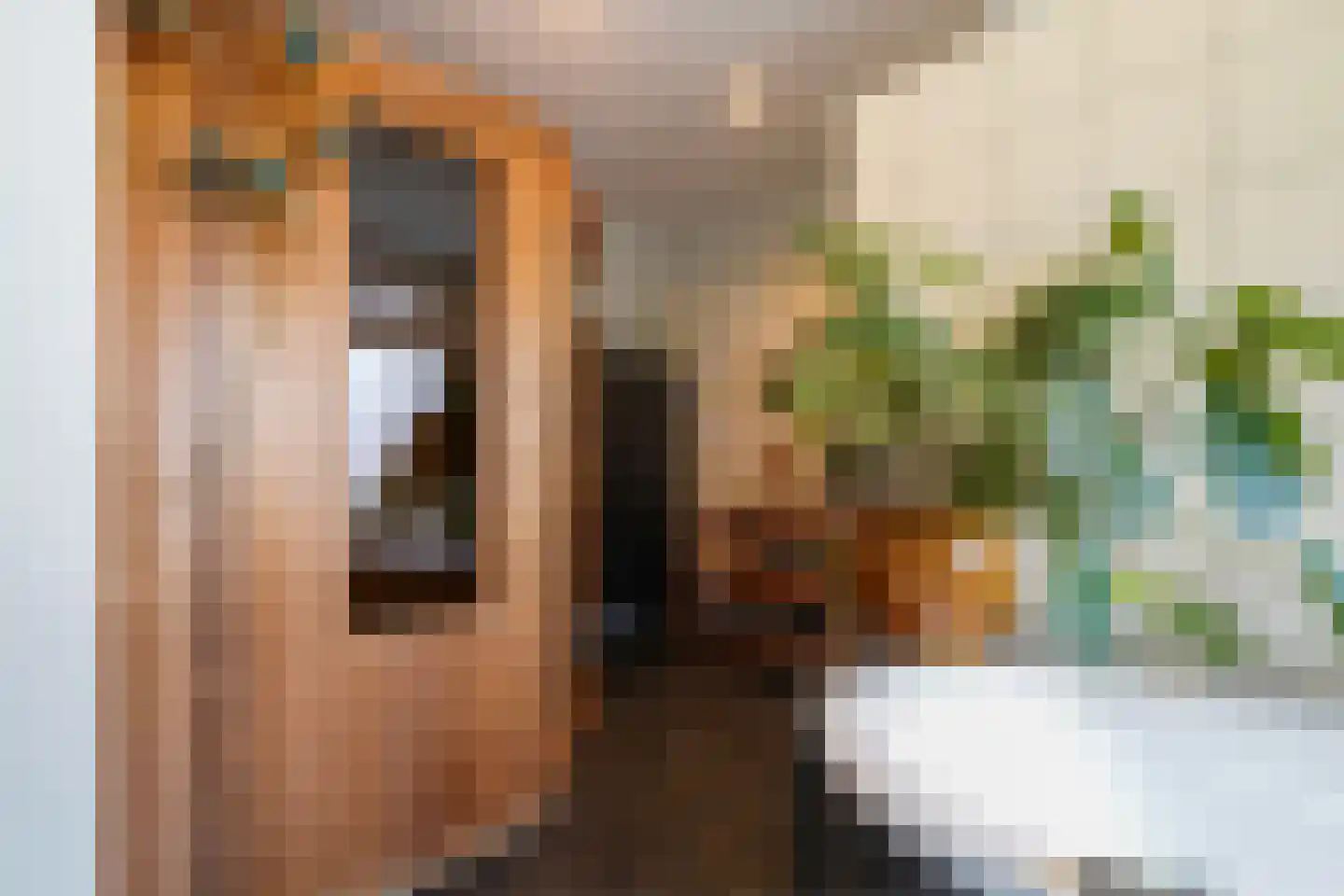 Acaciastraat 13 Tilburg thumbnail 62