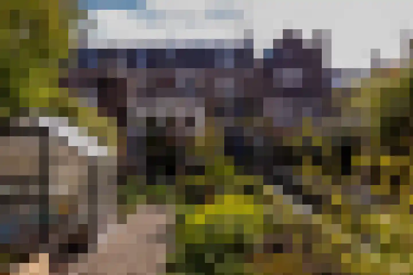 Acaciastraat 13 Tilburg thumbnail 85