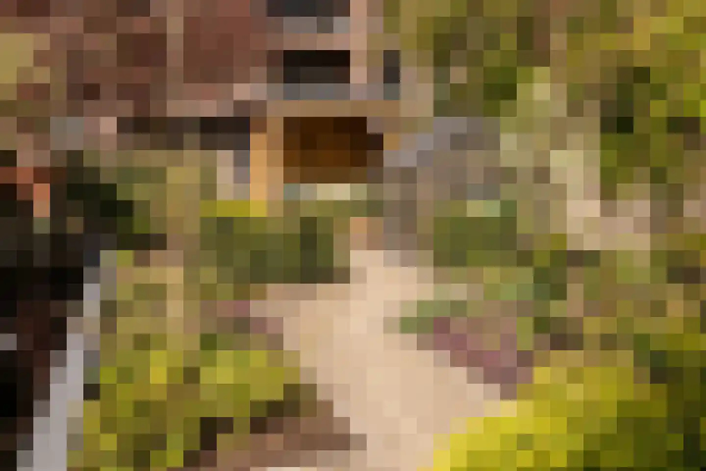 Acaciastraat 13 Tilburg thumbnail 87