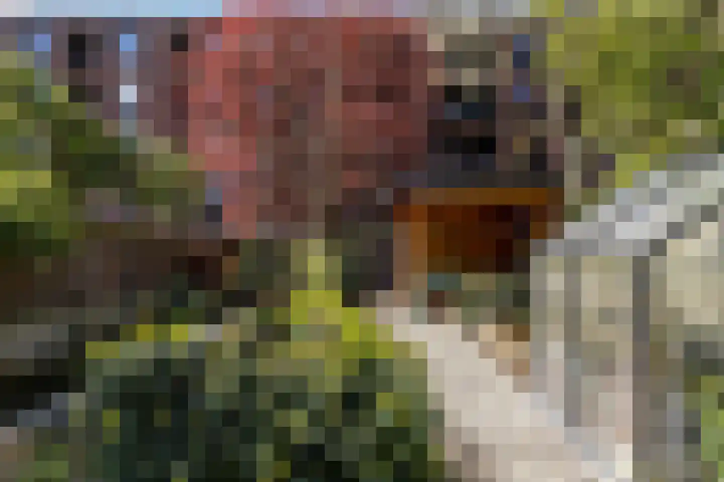 Acaciastraat 13 Tilburg thumbnail 88