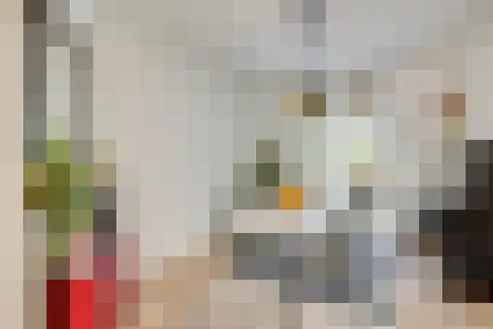 Acaciastraat 2 Utrecht thumbnail 12
