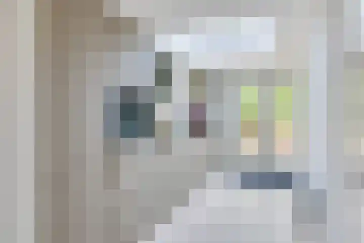 Acaciastraat 2 Utrecht thumbnail 14