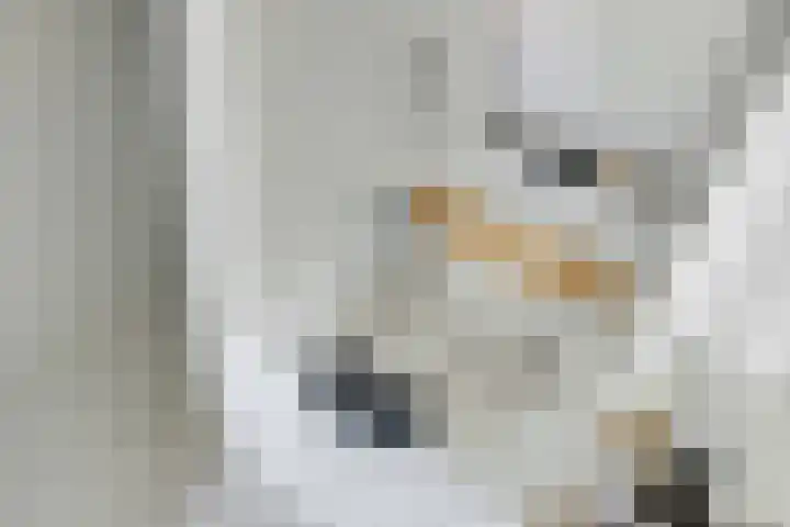 Acaciastraat 2 Utrecht thumbnail 25