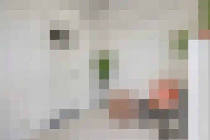 Acaciastraat 2 Utrecht thumbnail 28