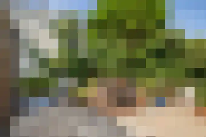 Acaciastraat 2 Utrecht thumbnail 34