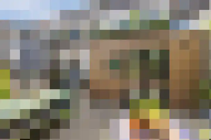 Acaciastraat 2 Utrecht thumbnail 35