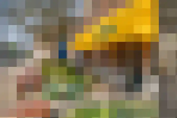 Acaciastraat 2 Utrecht thumbnail 36