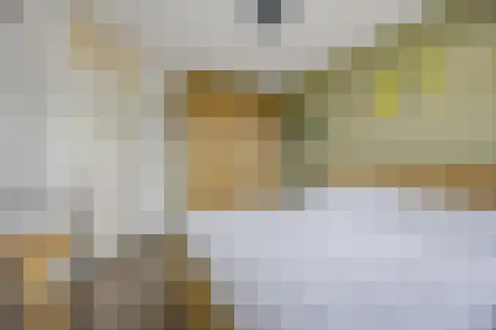 Acaciastraat 33 Made thumbnail 14