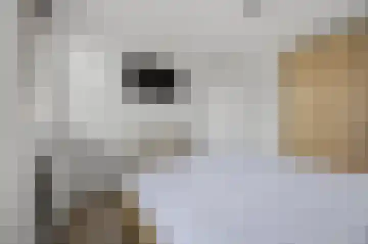 Acaciastraat 33 Made thumbnail 15