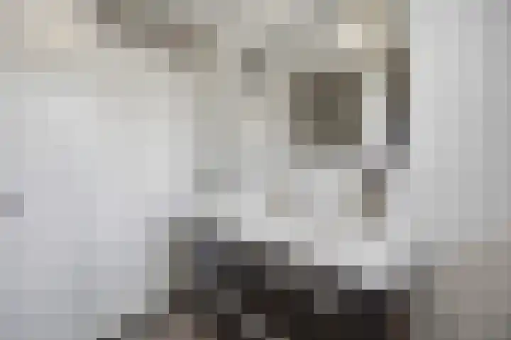 Acaciastraat 33 Made thumbnail 21