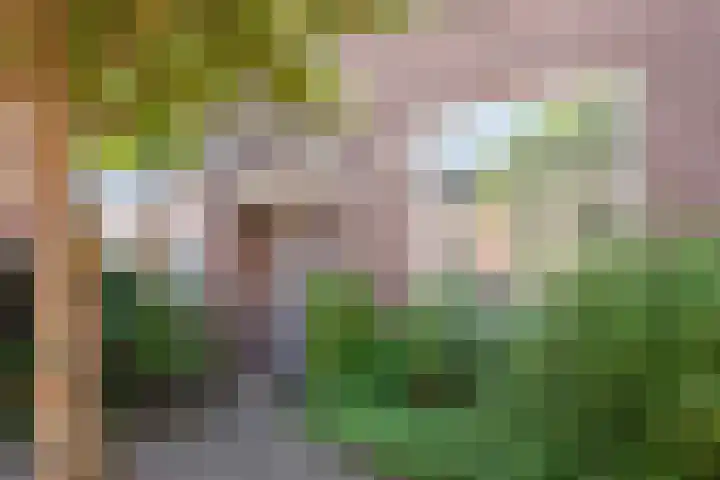 Acaciastraat 39 Haarlem thumbnail 33