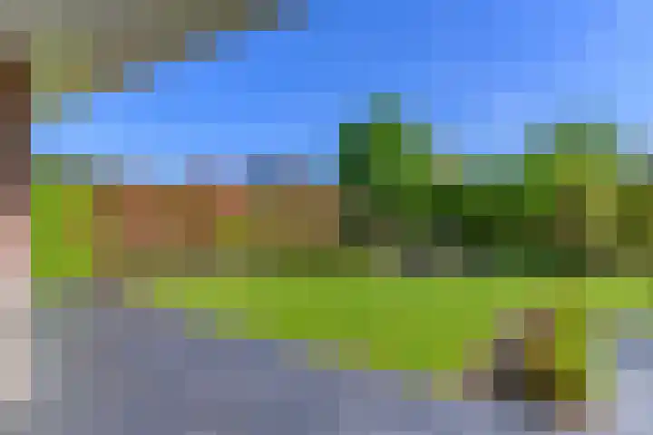 Acaciastraat 39 Haarlem thumbnail 4