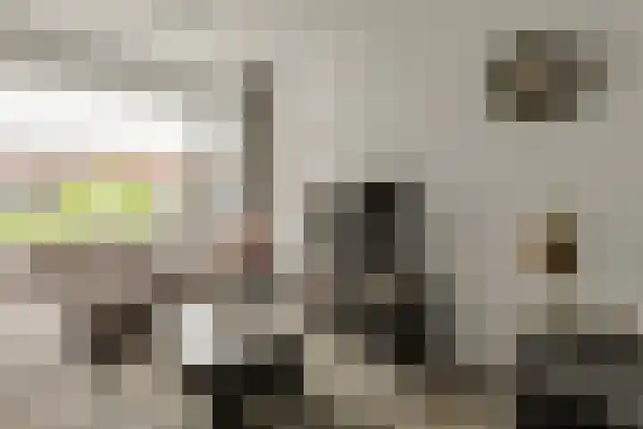Acaciastraat 62 Breda thumbnail 11