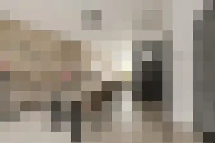Acaciastraat 62 Breda thumbnail 23