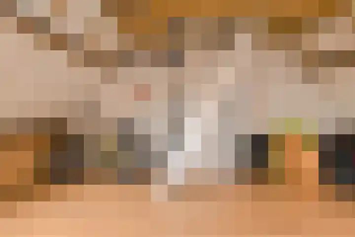 Acaciastraat 62 Breda thumbnail 34