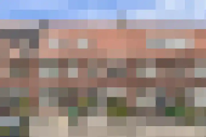 Acaciastraat 62 Breda thumbnail 43