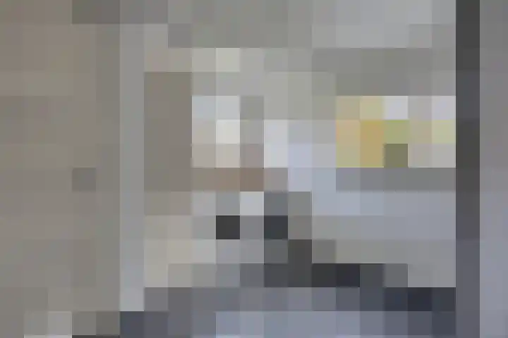 Acaciastraat 7 Opheusden thumbnail 17