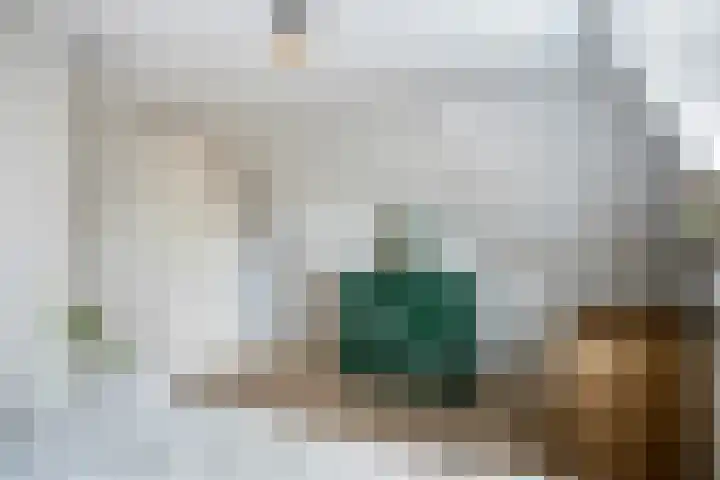 Acaciastraat 7 Opheusden thumbnail 24