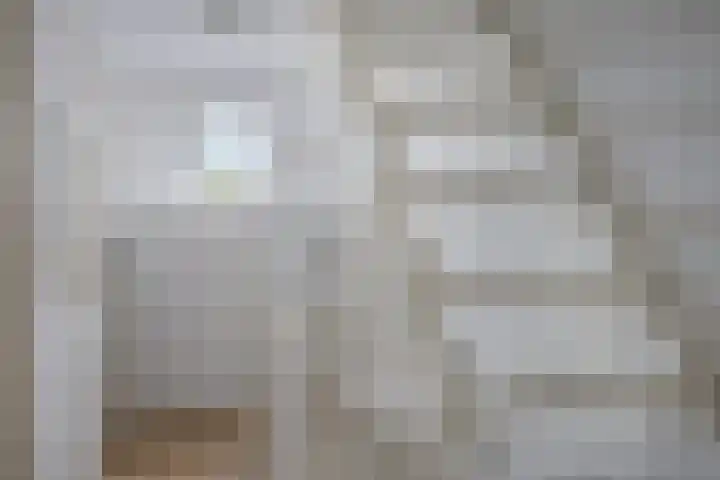 Acaciastraat 7 Opheusden thumbnail 29
