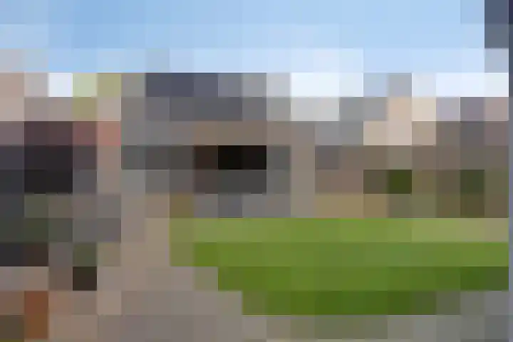 Acaciastraat 7 Opheusden thumbnail 37