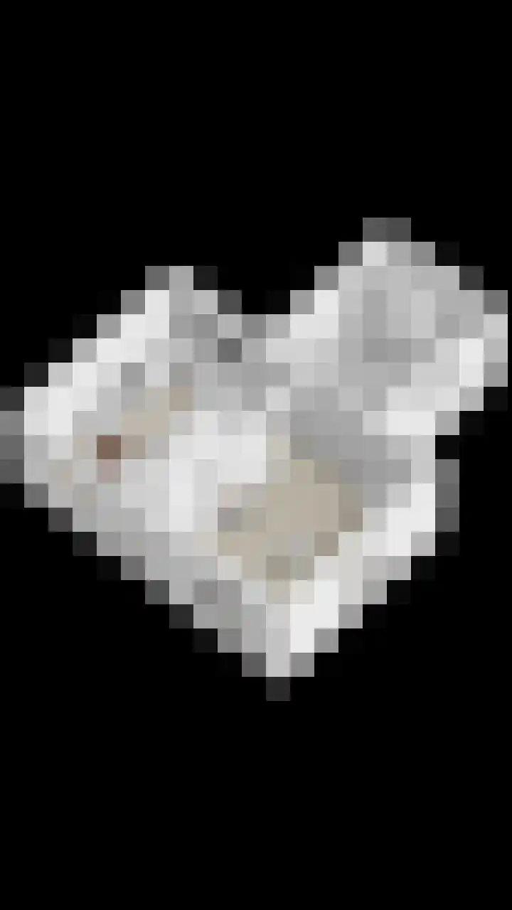 Acaciastraat 7 Opheusden thumbnail 49