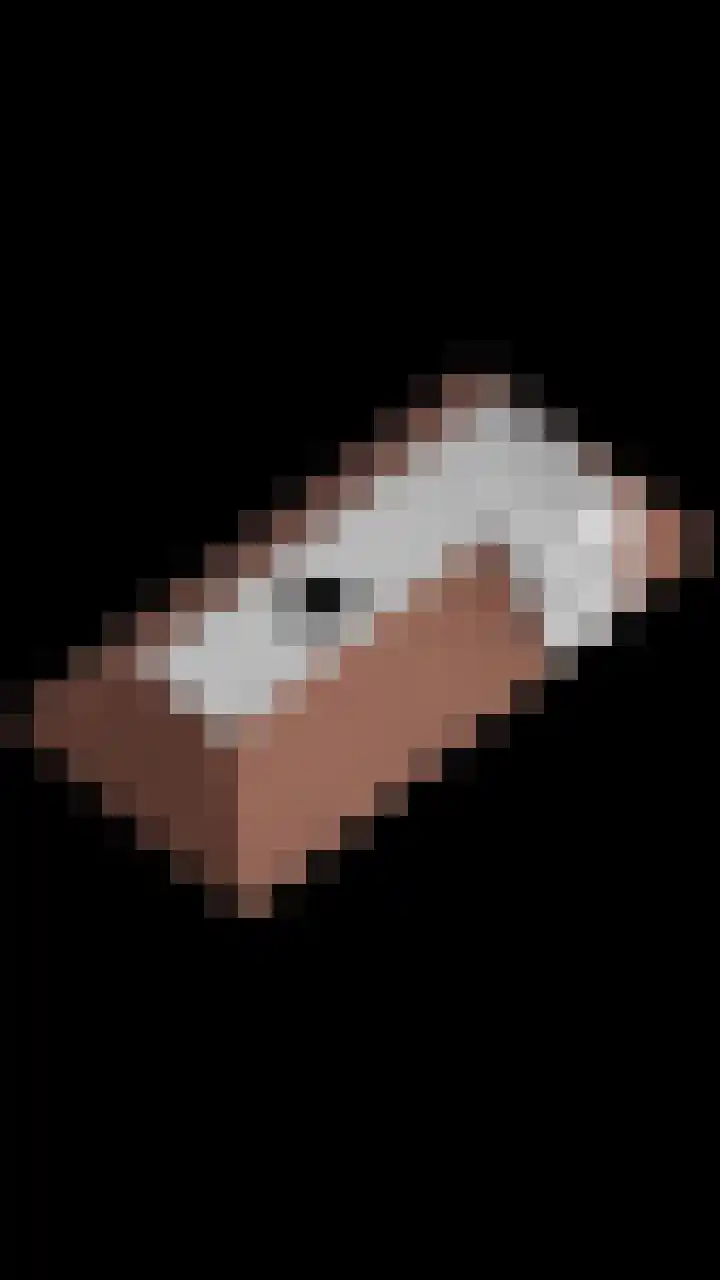 Acaciastraat 7 Opheusden thumbnail 59