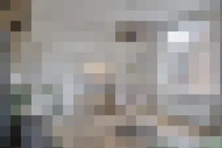 Acaciastraat 7 Opheusden thumbnail 6