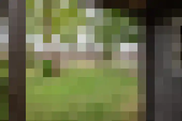 Acaciastraat 7 Rouveen thumbnail 21