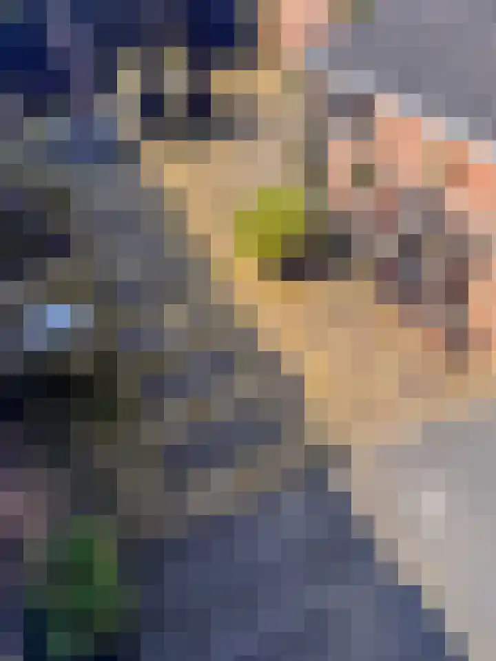 Acaciastraat 7 Zevenaar thumbnail 25