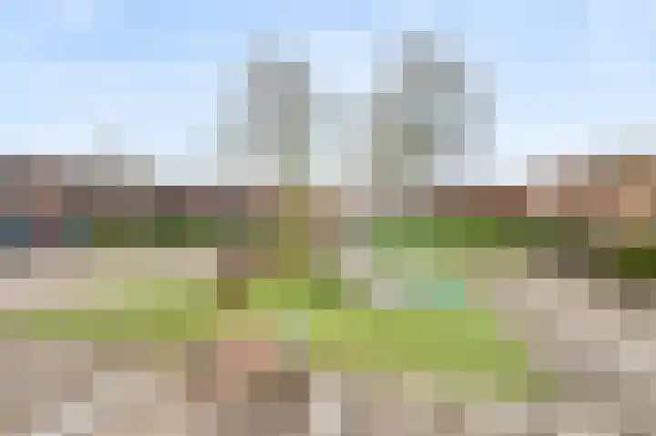 Acaciastraat 77 Haarlem thumbnail 46