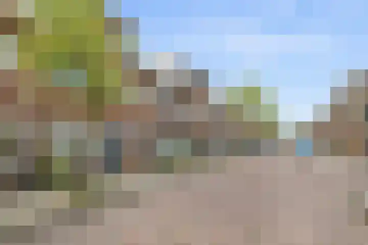 Acaciastraat 77 Haarlem thumbnail 5