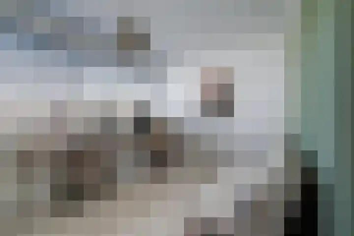 Acaciastraat 97 Breda thumbnail 32