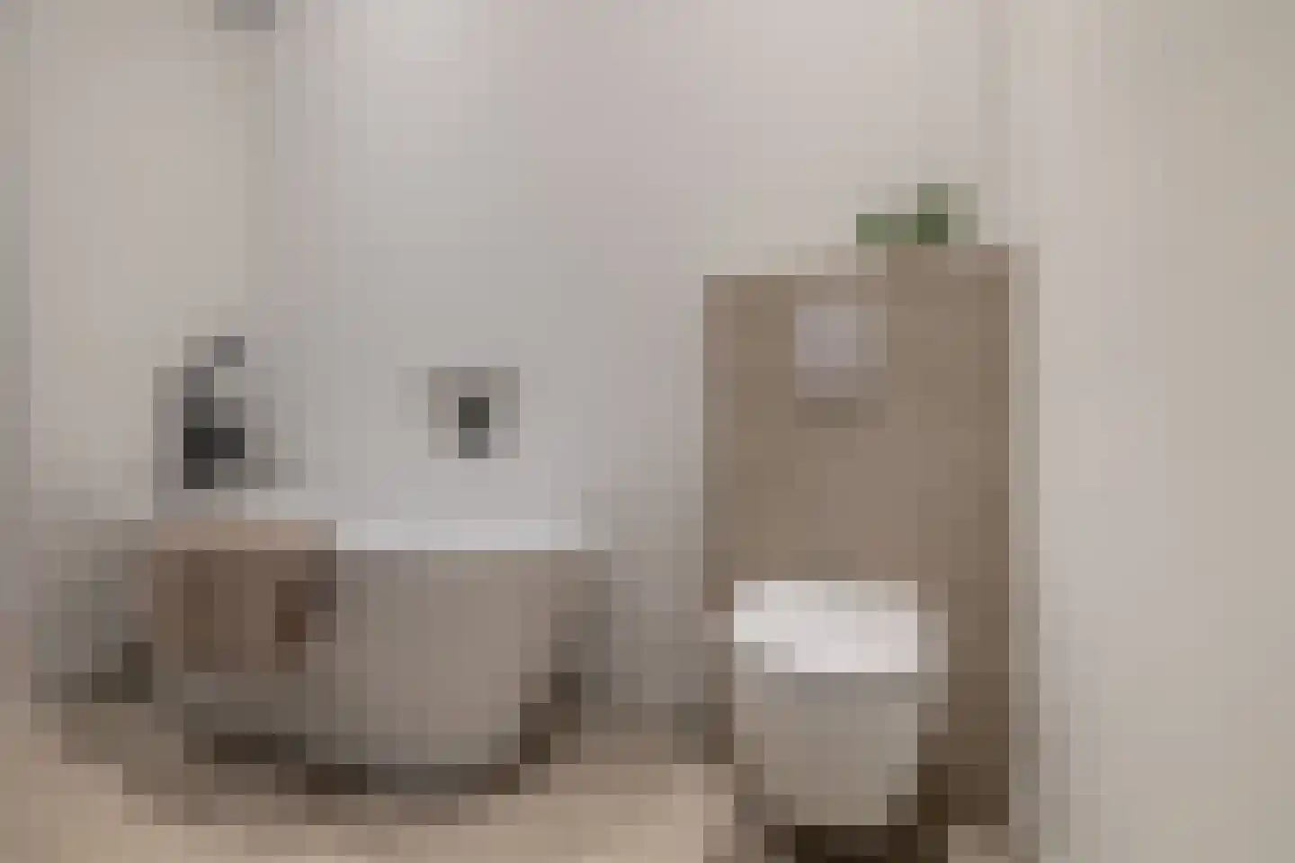 Academiesingel 21 Breda thumbnail 19