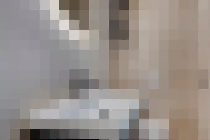 Academiesingel 42 B2 Breda thumbnail 12