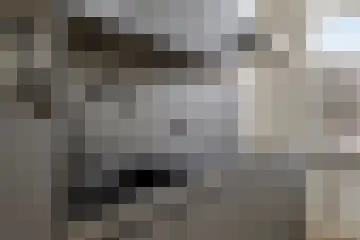 Academiesingel 42 B2 Breda thumbnail 5
