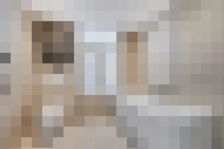 Academiesingel 42 C1 Breda thumbnail 17