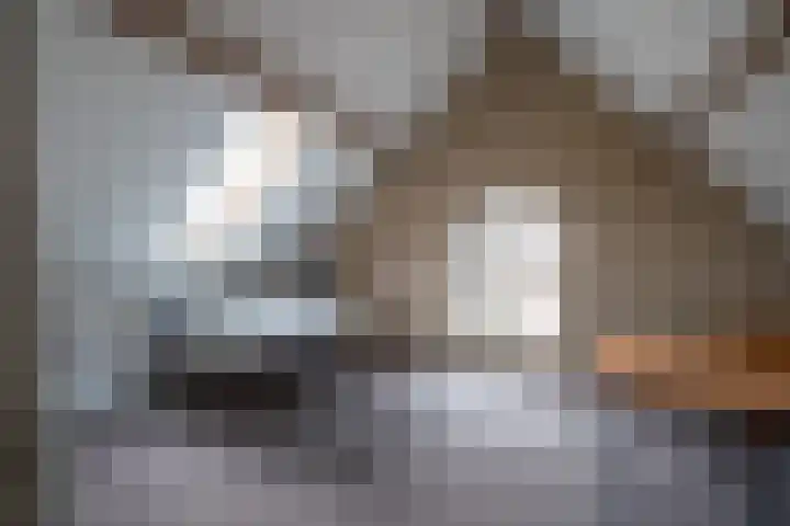 Accesweg 1 Ede thumbnail 16