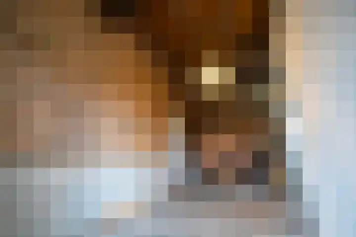 Accesweg 1 Ede thumbnail 19