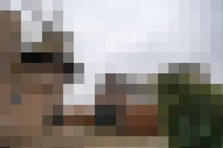 Accesweg 1 Ede foto 2