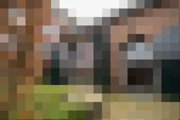 Accesweg 1 Ede thumbnail 21