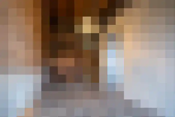 Accesweg 1 Ede foto 3