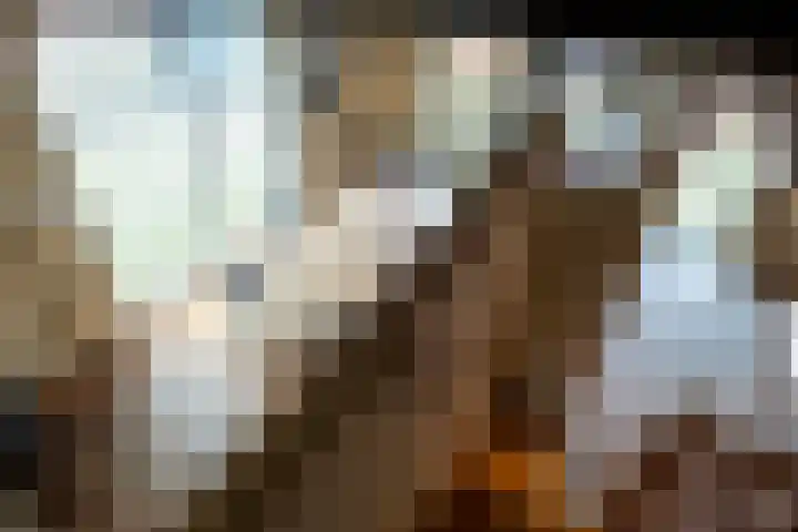 Accesweg 1 Ede thumbnail 7
