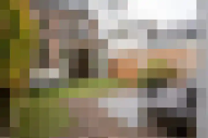 Achillesstraat 89 Breda thumbnail 32