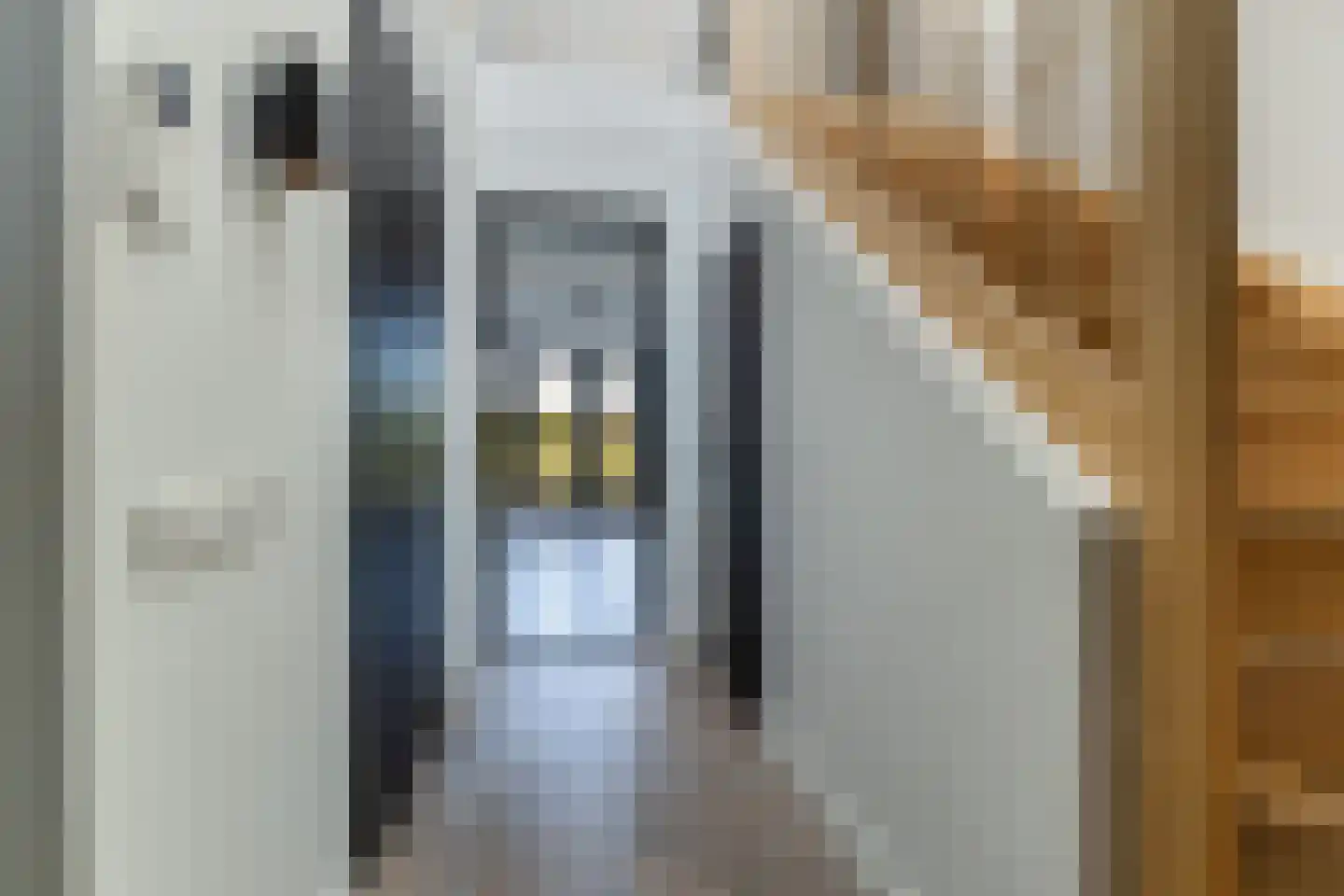Achter-Catwijk 17 Pijnacker thumbnail 13